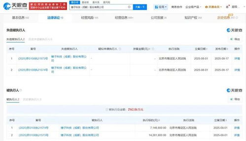 羅永浩拒不履行2142萬元債務，基礎軟件服務再陷風波