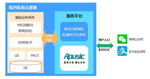 醫療信息系統安全漏洞 從基礎軟件服務隱患看真實案例警示